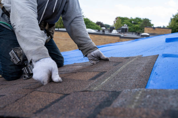 Best Storm Damage Roof Repair  in Moreland Hills, OH
